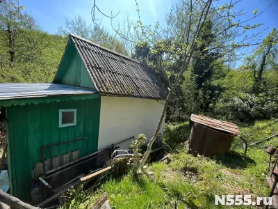 Участок с дачным домом фото 2